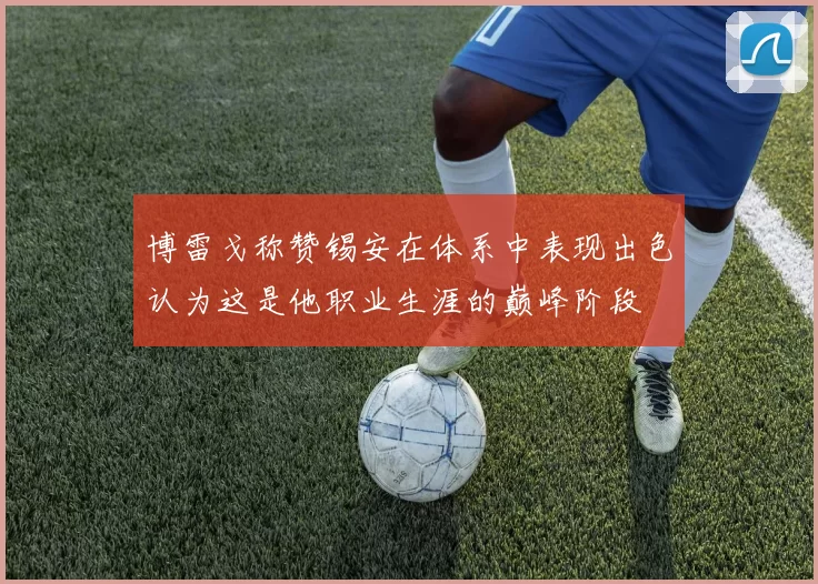 博雷戈称赞锡安在体系中表现出色认为这是他职业生涯的巅峰阶段